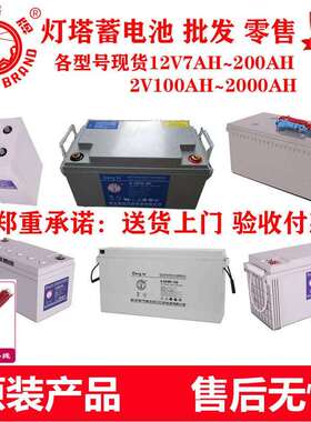 灯塔蓄电池6-GFM-24风能发电储能原装铅酸蓄电池12V24AH