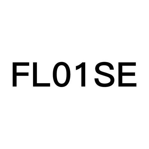 FL01SE手电
