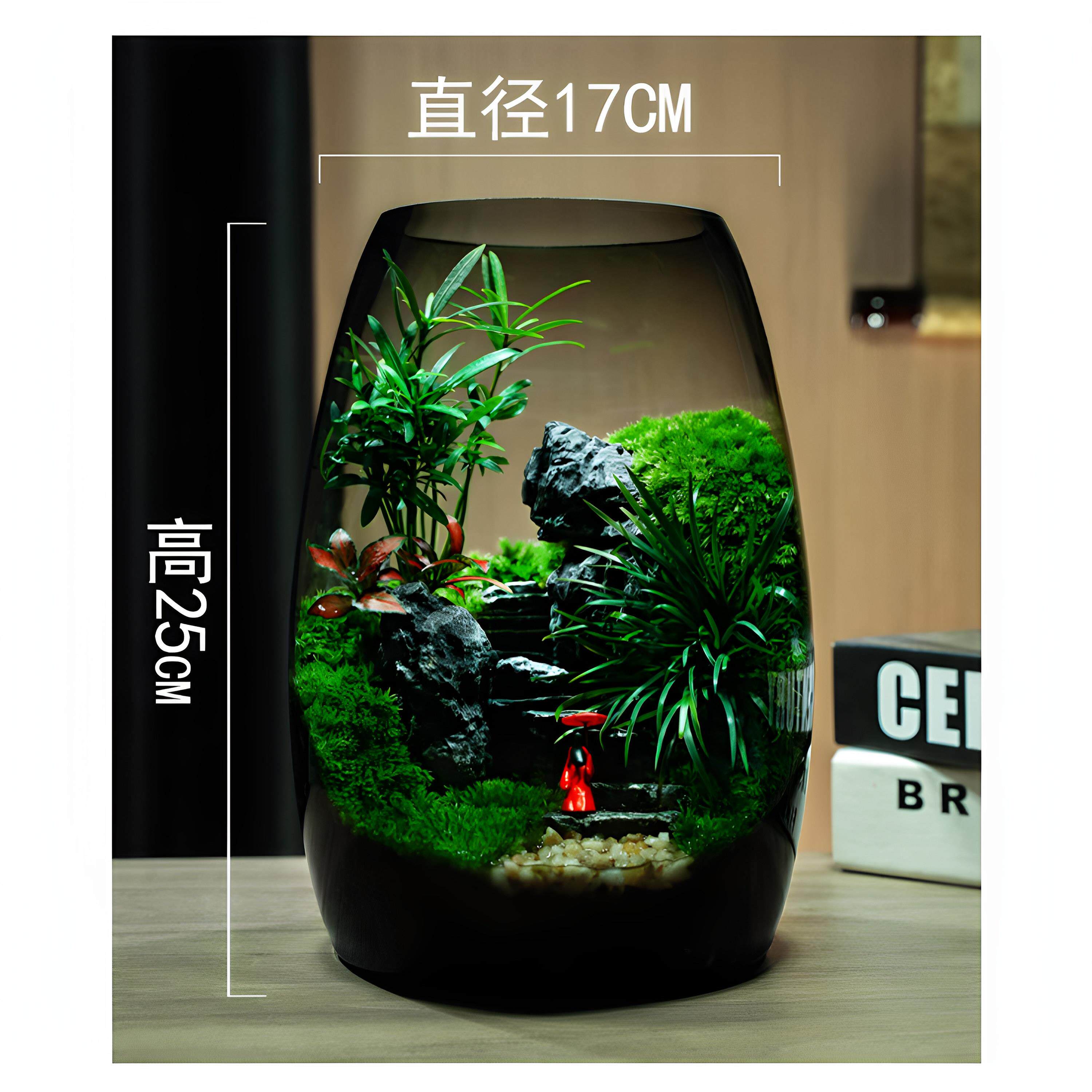 苔藓流水生态缸苔藓观赏微景观摆件生态瓶桌面造景办公桌面植盆景
