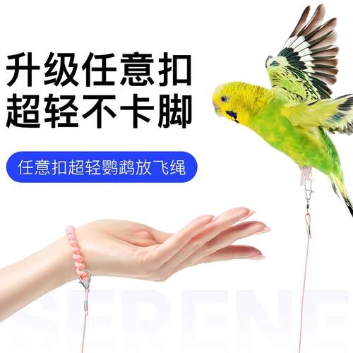 小太阳牵引绳和尚鹦鹉放飞绳户外遛鸟牵引弹力绳超轻不伤脚训练绳