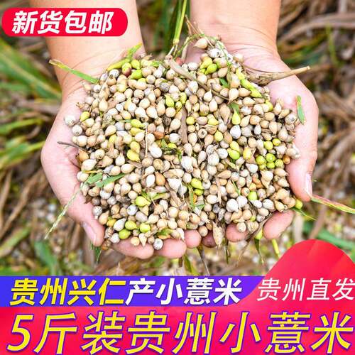 小粒生薏米5斤贵州兴仁小薏米仁新货湿500g*5独立包装去山区气祛