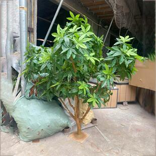 仿真发财树酒店商场装饰人造落地景观假绿植园林工程道具摆件
