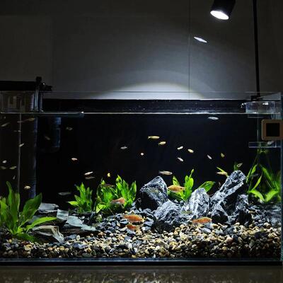 箱纯黑色鱼缸背景纸CRL高清海背鲜池景贴纸不干色胶水族装饰贴纸