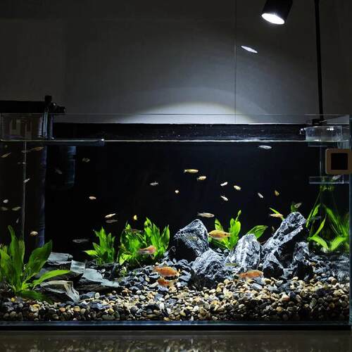 纯浅色蓝缸背景纸鱼高胶清海鲜池背景贴纸不干水GMC族箱装饰贴纸
