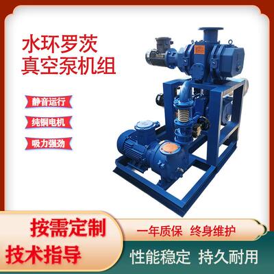 全球牛水环真空泵机组螺杆罗茨真空泵高真空耐腐蚀真空泵机组气泵
