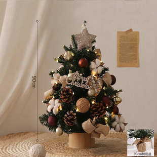 新款2025拿批发圣诞装饰品摆件圣诞树小树现货 圣诞节样
