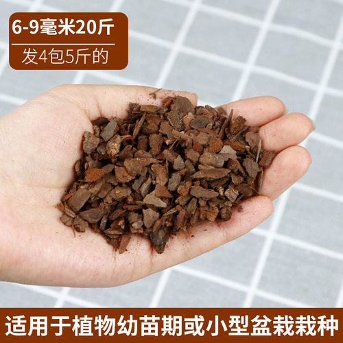 仿真植物造景棉层覆盖松树皮打磨抛光空间绿植装饰搭配森系自然