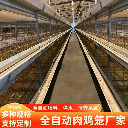 自动清粪上料大型大棚鸡舍养殖全自动畜牧机械设备蛋鸡笼肉鸡笼