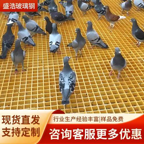 应玻钢栅网格板树池篦璃子洗车房CBH格格栅盖板光伏走道板鸽舍供