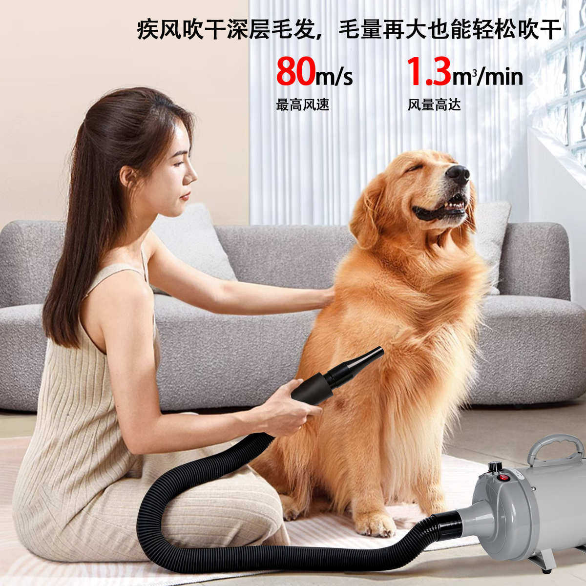 欧美宠物吹水机高功率吹毛中型犬吹风机宠物烘干吹水速干,宠物/宠物食品及用品,吹水机,淘宝优惠券,粉丝福利购,淘宝优惠卷