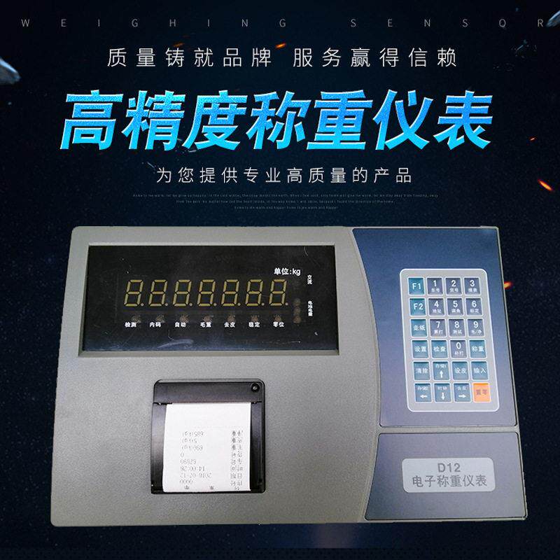 称重显示仪表地磅汽车衡显示器电子称重仪表宁波柯力D12现货包邮