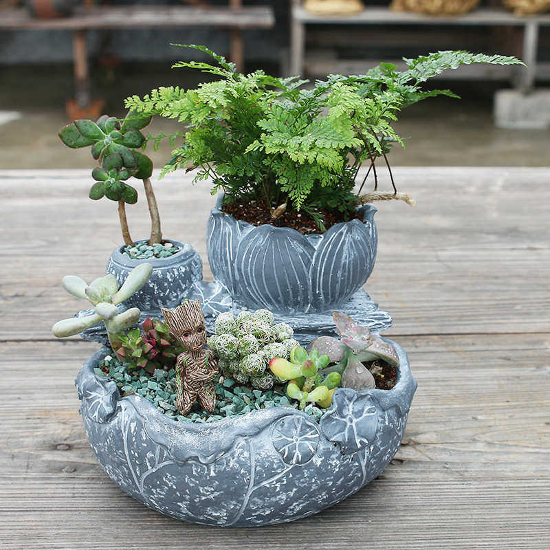 新款创意多肉花盆 尚和道家庭园艺荷花空中花园多肉拼盘花盆,鲜花速递/花卉仿真/绿植园艺,花盆,淘宝优惠券,粉丝福利购,淘宝优惠卷