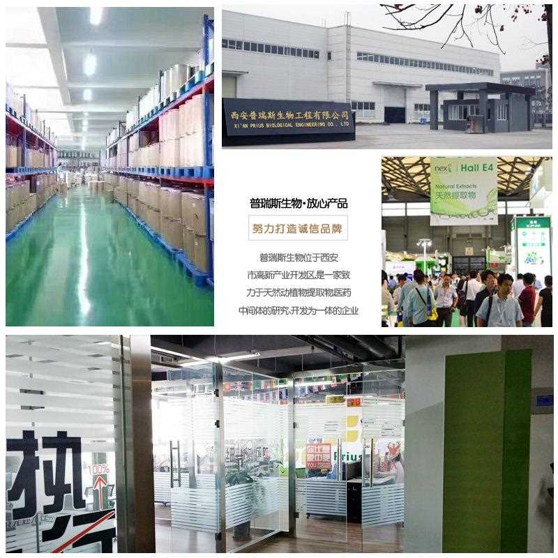 新款直销深海鱼低聚肽 深海三文鱼鳕鱼肽 海洋鱼小分子肽 鳕鱼低