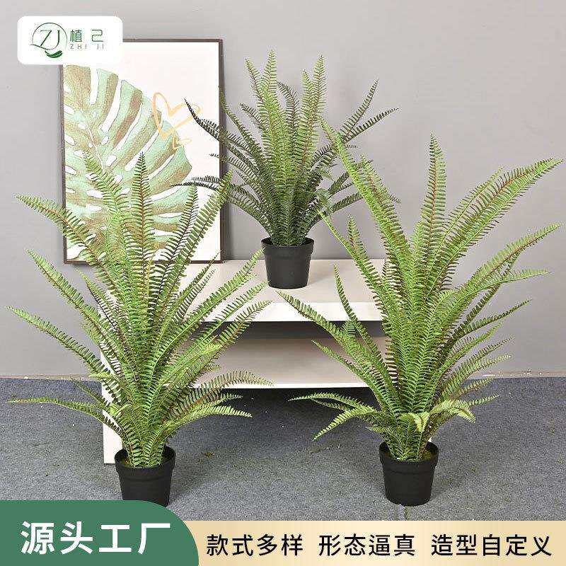 仿真绿植波斯蕨马尾蕨手感蕨树家居办公花艺落地仿生蕨叶蕨树盆栽