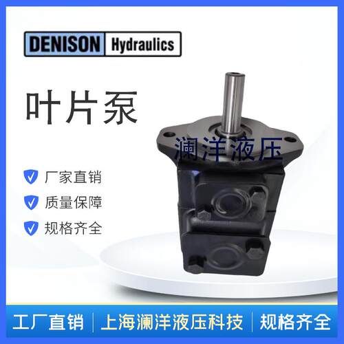 丹尼逊T6CM-B03 T6CM-B05 T6CM-B06 T6CM-B08 T6CM-B31叶片泵