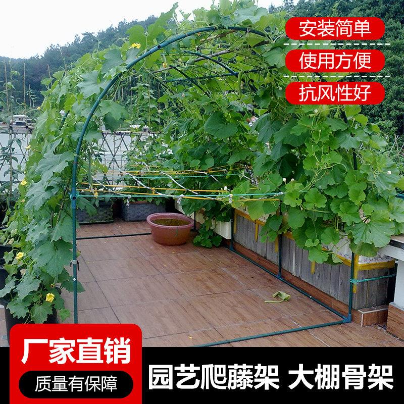 植物爬藤架百香果楼顶爬藤架葡萄攀藤架植物攀爬园艺支架大棚骨架