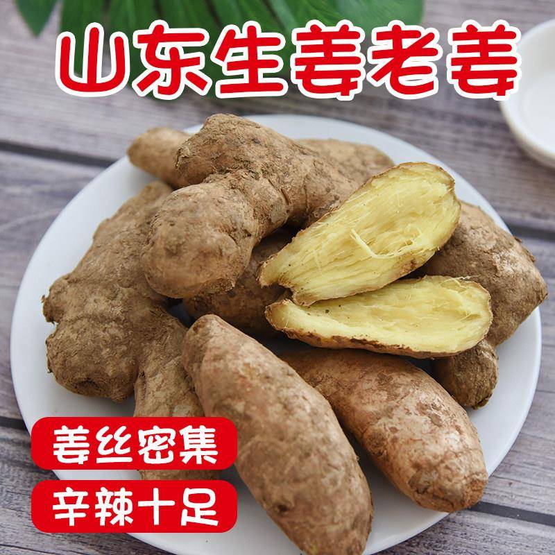 山东大姜优质生姜老姜新鲜大黄姜精品带泥生姜块老生姜老黄姜包邮