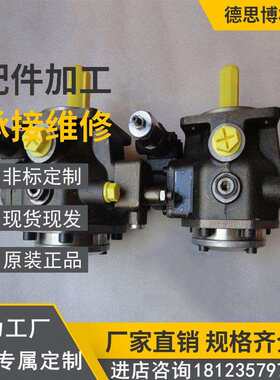 PVV2-1X/040RJ15RMB液压油泵PVV2-1X/040RJ15UEB泵芯维修配件