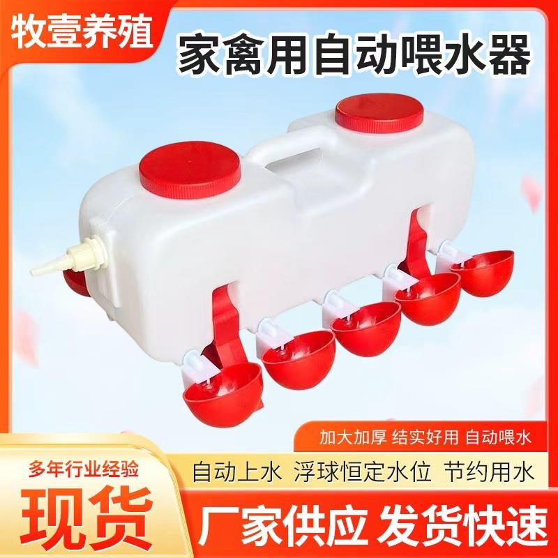 养鸡饮水壶全自动饮水器散养家禽喂水器喂水碗鸡鸭鹅饮水碗喂水桶