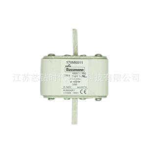 170M6011 170M6012 170M6013巴斯曼BUSSMANN熔断器保险丝