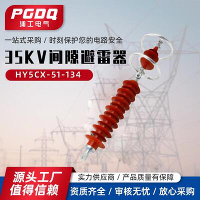 35KV间隙避雷器HY5CX-51-134悬挂式氧化锌避雷器35KV线路型HY5CX-