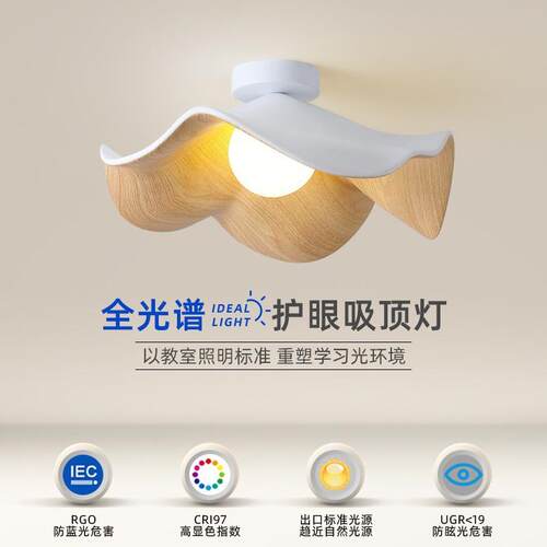 全光谱荷叶吊灯过道吸顶灯木纹走廊灯温馨花朵阳台灯复古玄关灯