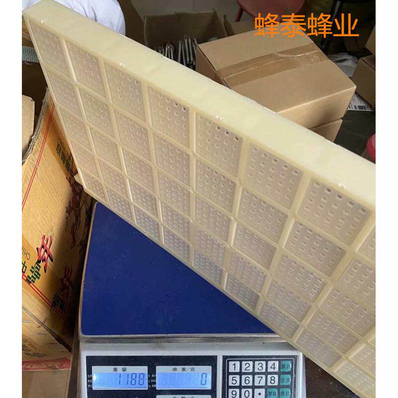 蜜蜂多功能塑料储王器 多王关王器蜂王存储器囚王笼45格储王器