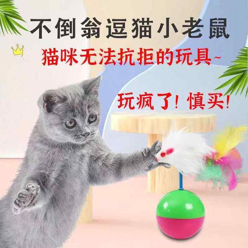 不倒翁猫玩具猫玩具自嗨解闷神器毛绒老鼠不倒翁逗猫玩具宠物小猫,宠物/宠物食品及用品,逗猫棒,淘宝优惠券,粉丝福利购,淘宝优惠卷