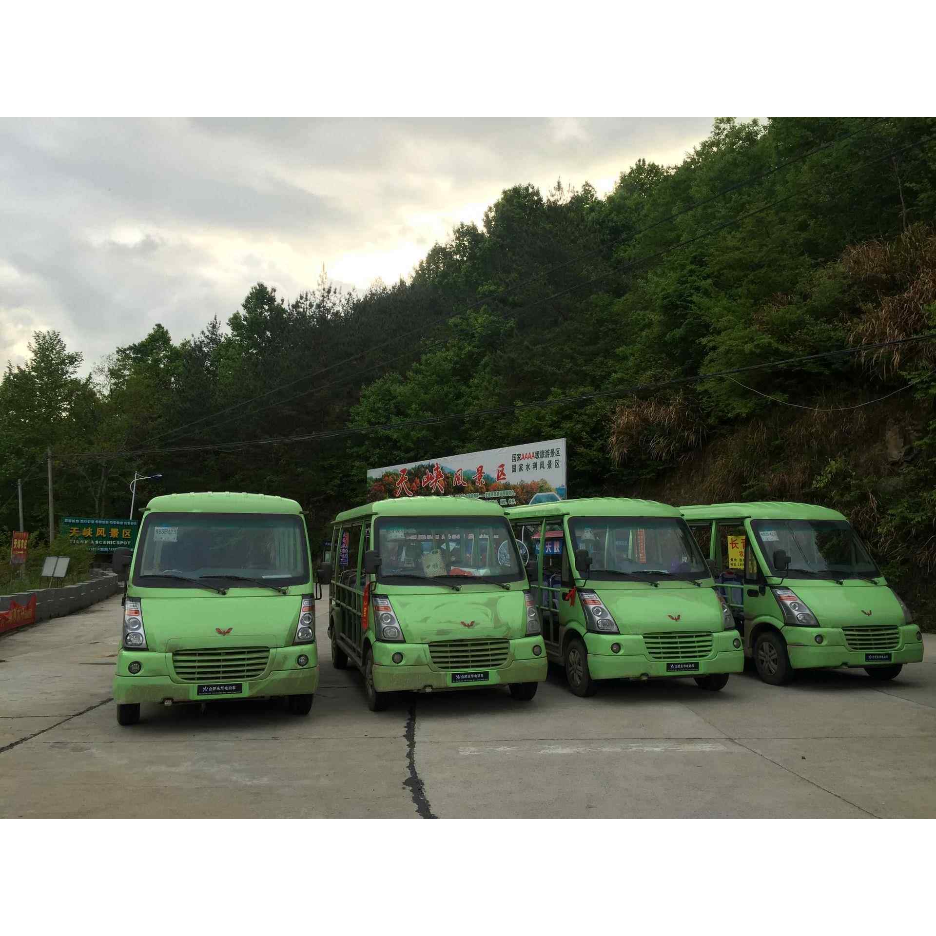 景区旅游观光车14座四轮园区接待摆渡车电动观光游览车燃油电动车
