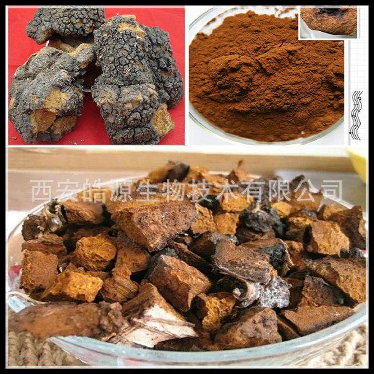 白桦茸多糖30% ,白桦茸粉桦褐孔菌提取物 厂家白桦茸提取物现货