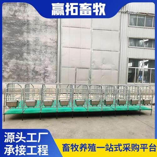 厂家母猪复合定位栏热镀锌钢管母猪产床限位栏养猪场养猪设备