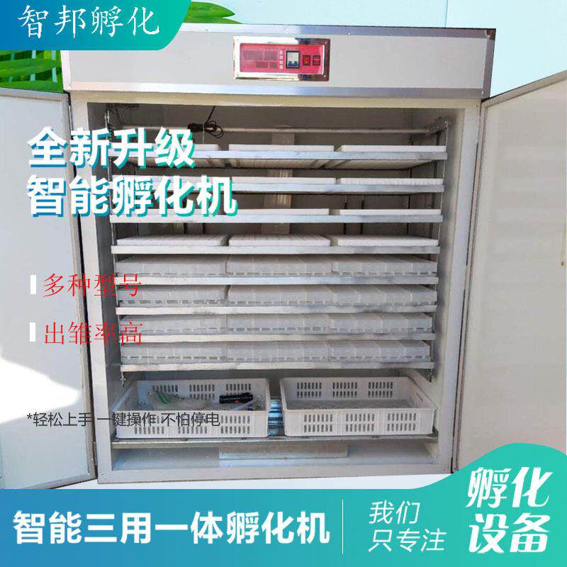2112中小型智能孵化箱家禽鸡苗种蛋孵蛋器鸭鹅孵化器全自动孵化机