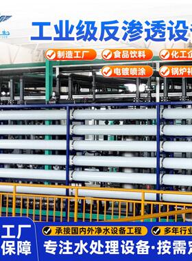 工业双级反渗透设备食品化工电镀锅炉补给水RO水处理纯净水设备