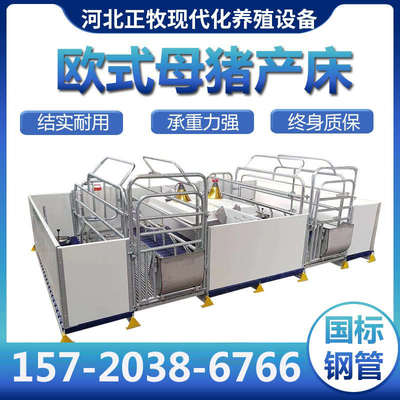 欧式母猪双体产床 三棱钢PVC围栏猪用产床 2.5钢管热镀锌产床