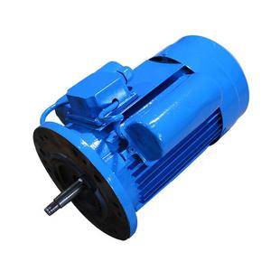 YL电80L 单相四级机20V恒电速SZN单相异2步电动 4减速器转配机立式