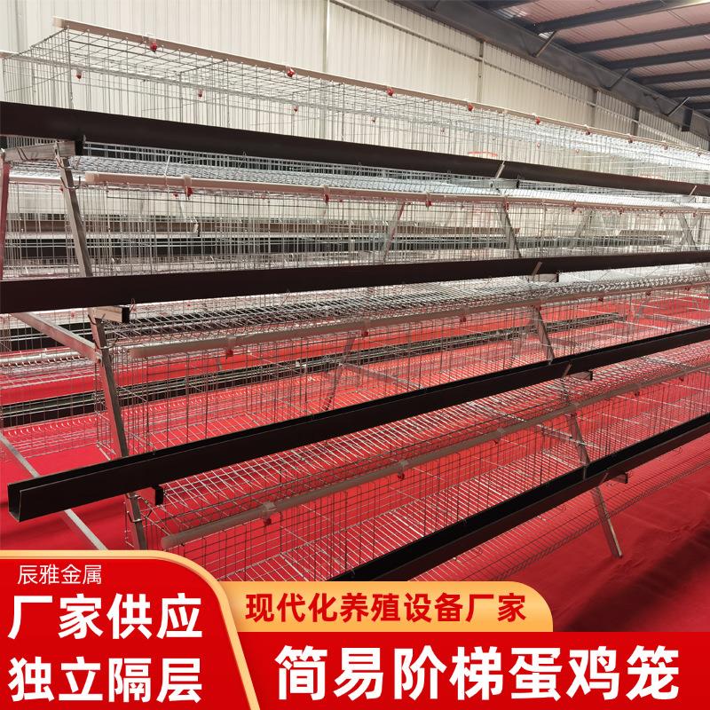 阶梯式蛋鸡笼养殖养鸡蛋鸡笼热镀锌蛋鸡笼层叠式鸡舍养殖鸡笼子