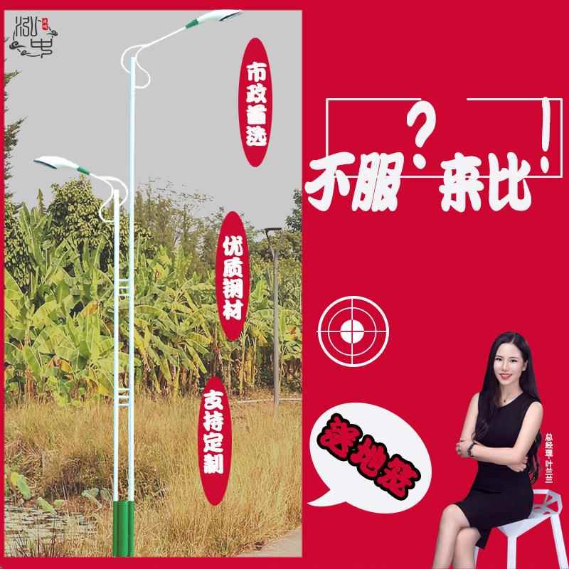 10m12m道路市政led路灯双杆双臂路灯头10米户外高杆模组工程灯