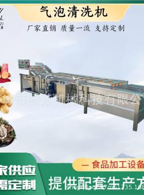 中草药清洗机鱼腥草气泡清洗机连续式中药材清洗加工切片产线