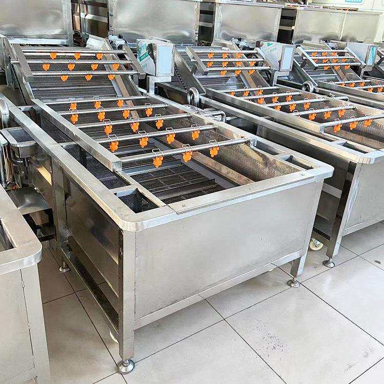喷淋式洗菜机循环水节能型什锦菜气泡清洗机车前草清洗去杂设备