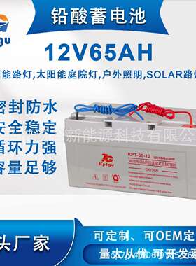 现货铅酸储能电池12V65AH户外照明系统用免维护储能铅酸蓄电池