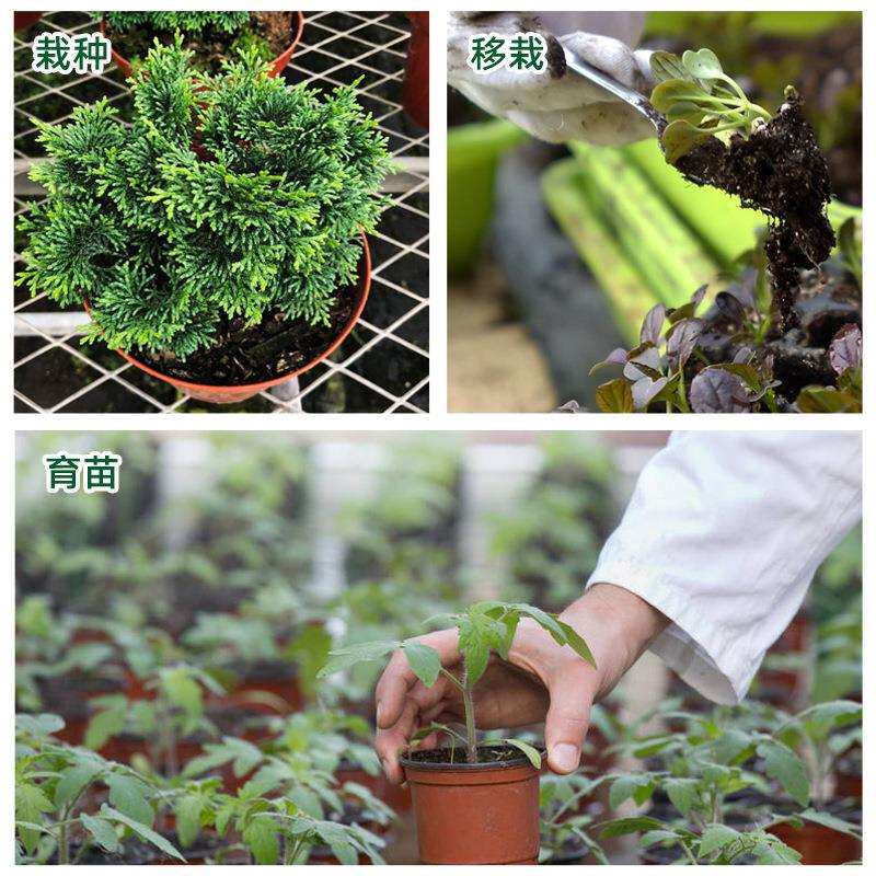 塑料花盆直边网底园艺花盆硬质塑料苗圃育苗盆圆形多肉绿植小圆盆