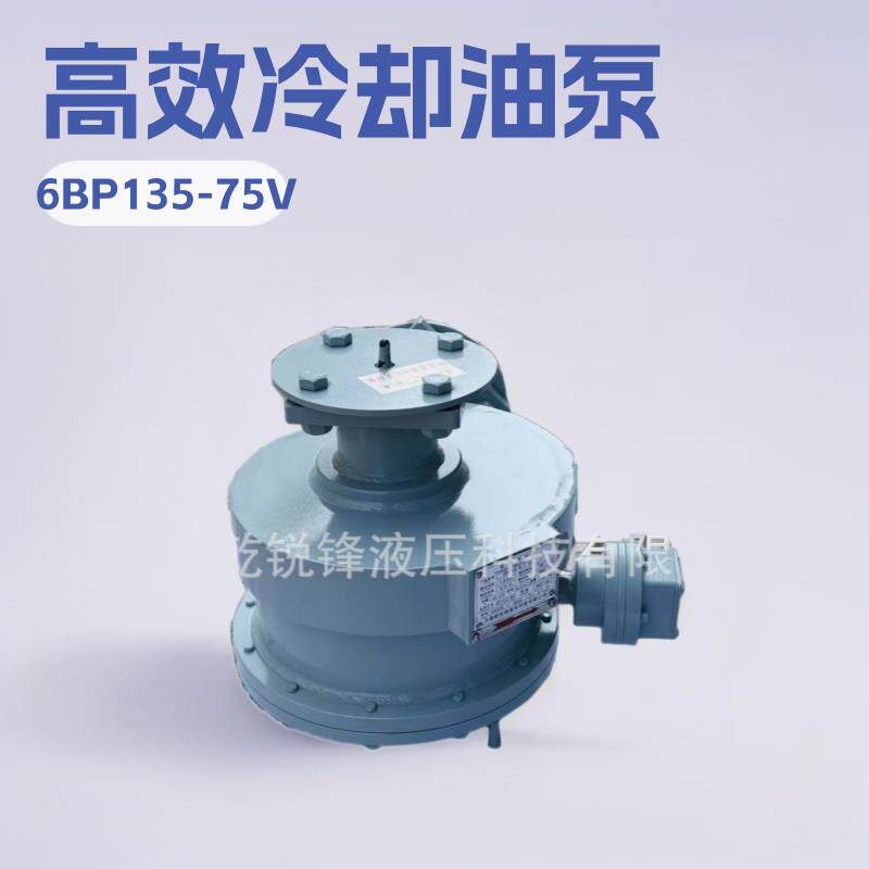 6BP135-7/5V变压器油泵潜油泵工厂直销
