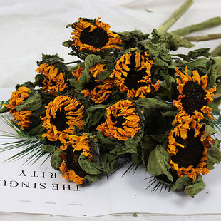 向日葵干花花束真花永生花花束手工diy梵高太阳花大号复古装饰品