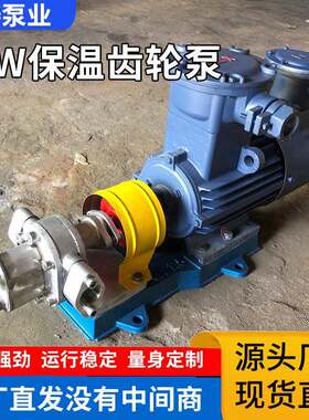 BW保温齿轮泵不锈钢沥青树脂洗涤剂船用耐腐蚀电动高效水泵油泵