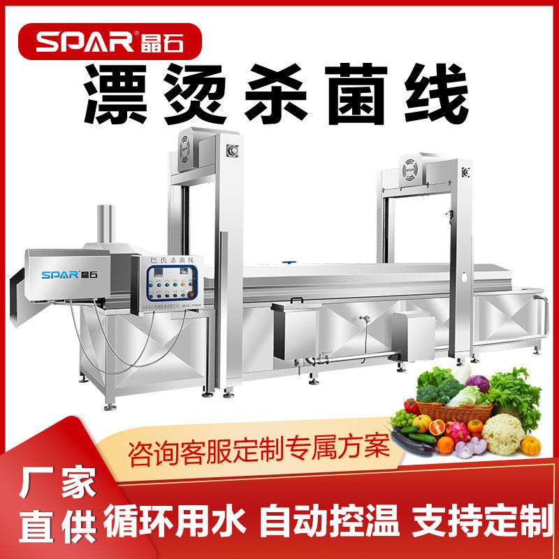 自动巴氏杀菌机商用土豆片蒸煮漂烫杀青机商用头苹果醋灭菌设备