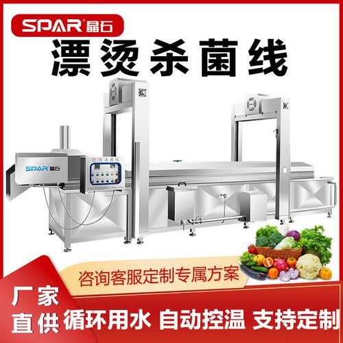 自动巴氏杀菌机商用土豆片蒸煮漂烫杀青机商用头苹果醋灭菌设备