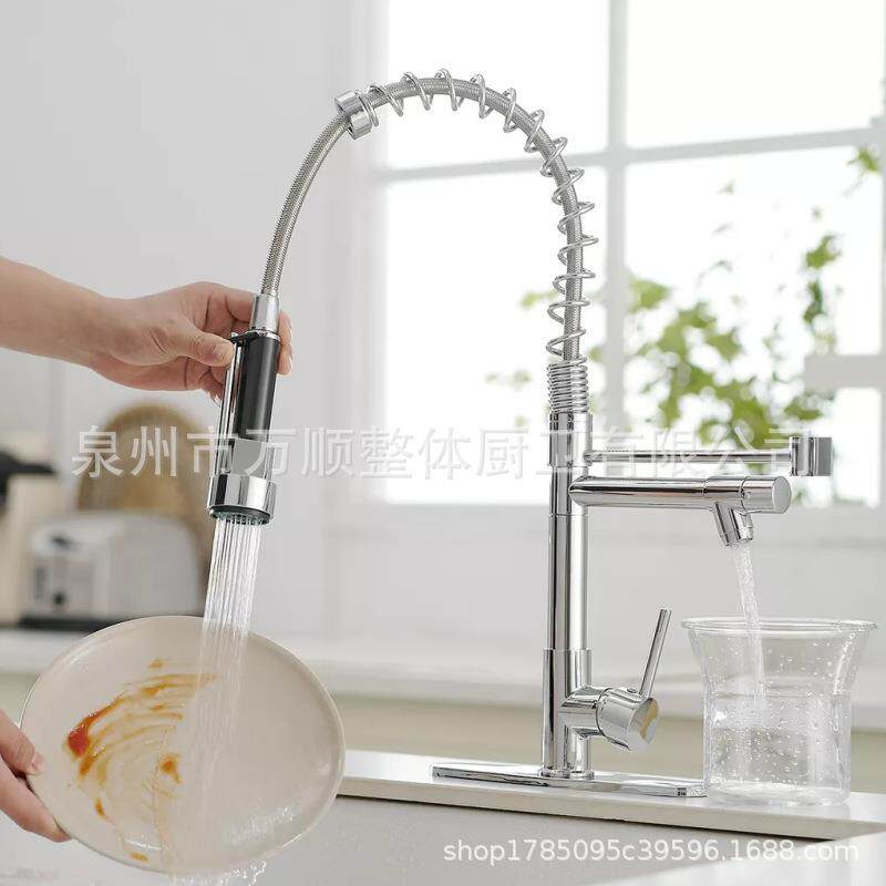 新款直销跨境铜合金双功能弹簧水龙头厨房洗菜盆洗碗槽双出水冷热