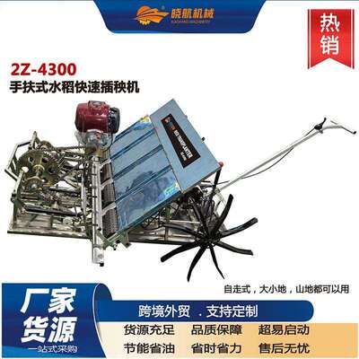 跨境行家热销2Z-4300型手扶式水稻快速插秧机育苗机电动