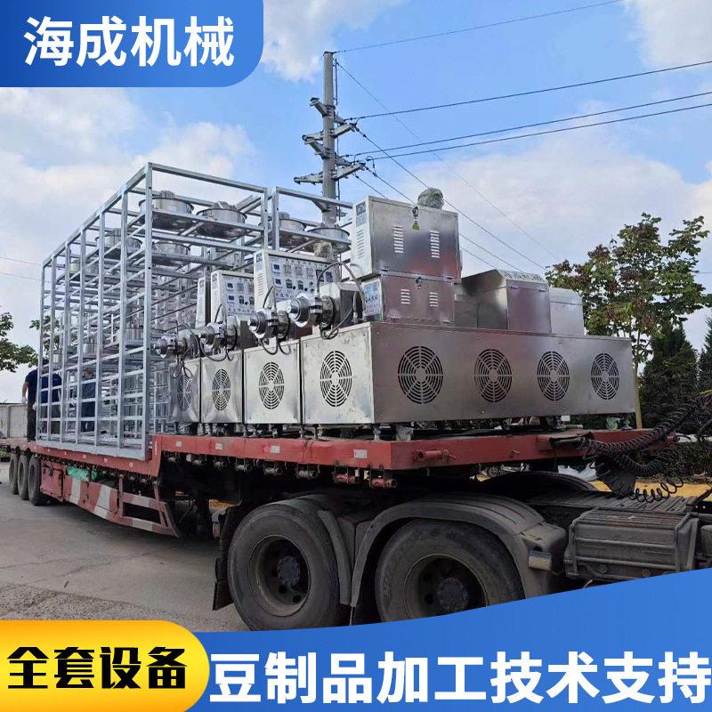 多彩果蔬红油面皮机重庆小面阿宽免煮面机设备大型红油面皮挤出机