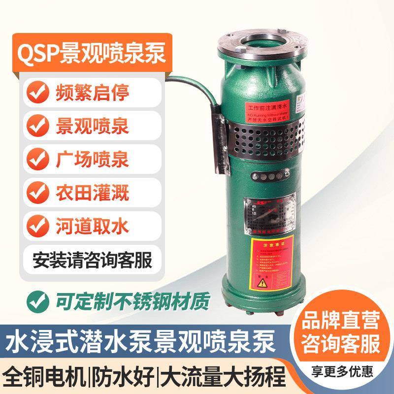 雨龙潜水泵 QSP浸水式音乐景观喷泉泵可多角度安装农田灌溉抽水泵